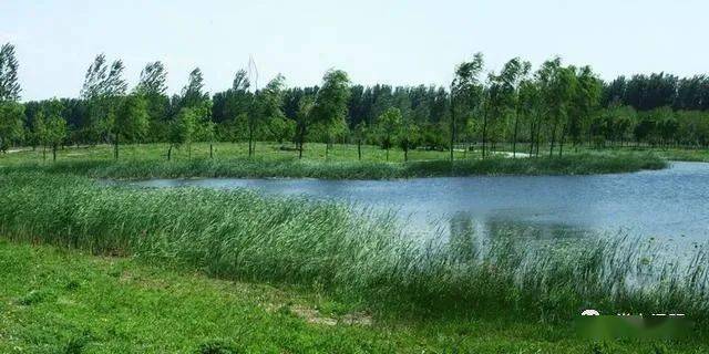 带着你的心去旅行羑河骑行记