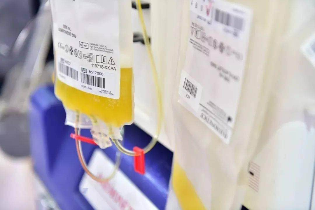 献血科普 | 有一种救命血液是黄色的!_血小板