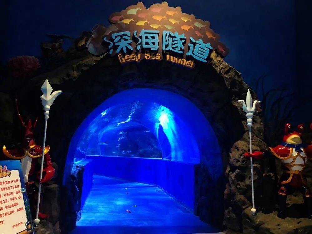 新华联童梦乐园第一届潜水大赛开始报名啦~~_海洋