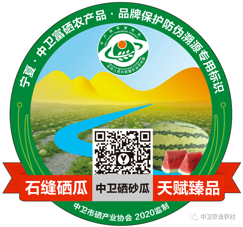 如何识别中卫硒砂瓜和富硒礼品硒砂瓜_专用