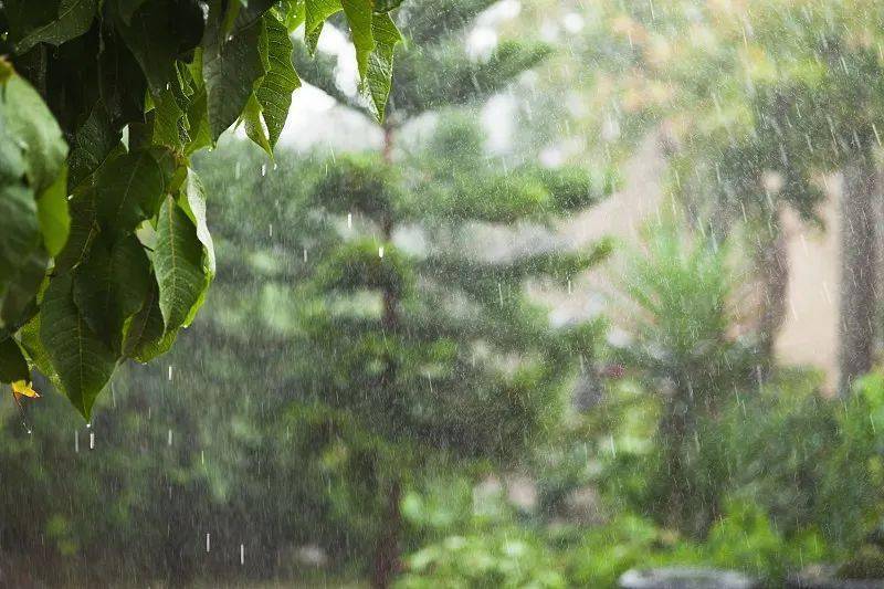 儘管目前長江中下游一帶雨勢暫緩,但受重慶,四川強降雨影響,要關注強