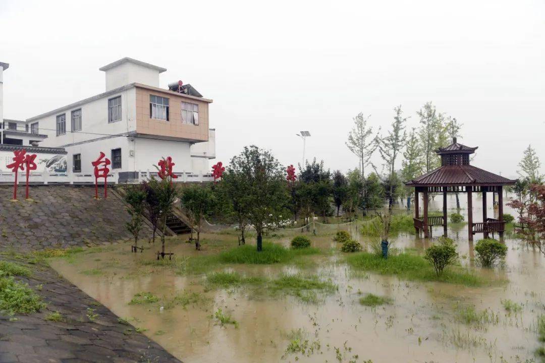 随时随地帮群众解决困难郑台子庄台临时党支部在王家坝开闸后5个小时