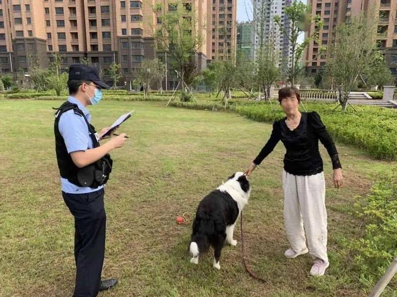 【文明养犬】海州区已查处遛狗不牵绳违法行为1627起!