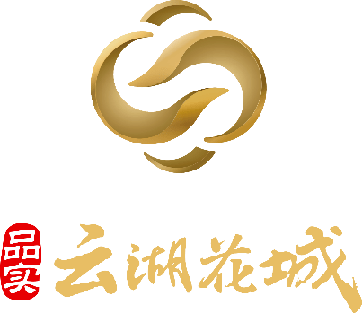 云湖logo图片