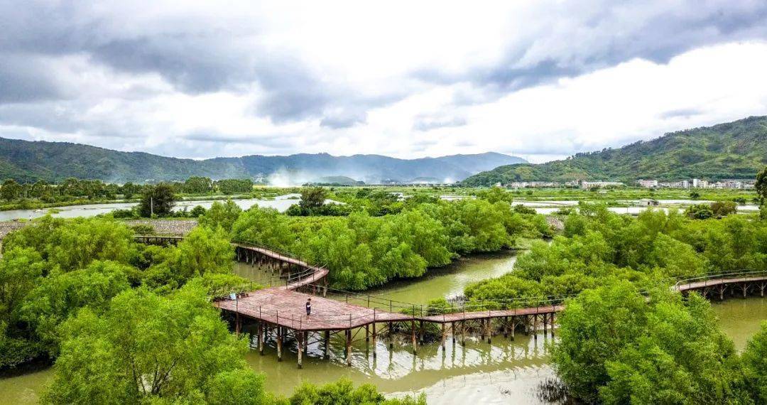 四会飞鹅岭湿地公园图片