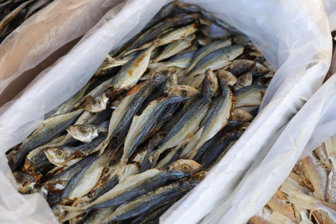 沙头唯一的墟市汀根墟逛过才算合格的沙头人大家快来趁墟了