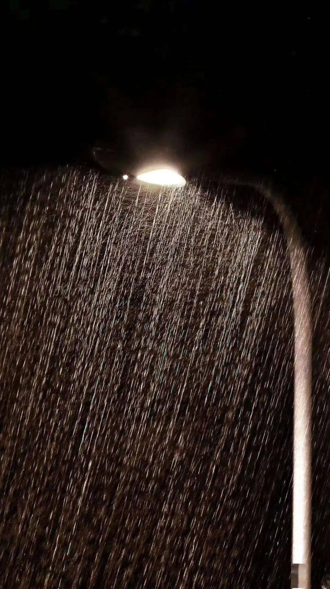 山东大暴雨刷屏!好多地方都能坐船了,龙口市.