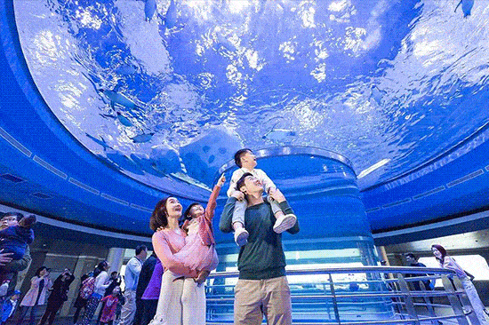 550_366gif 动态图 动图