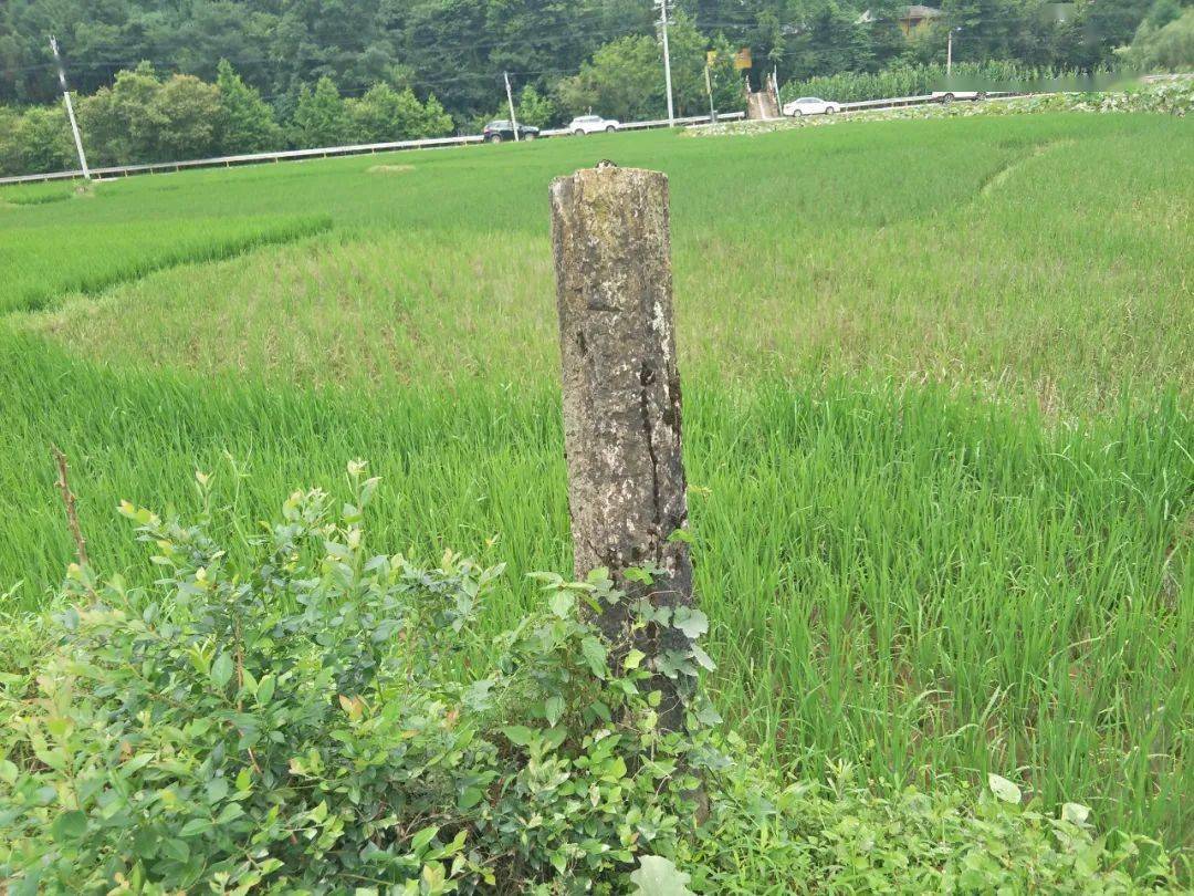 最近刚发现.利川凉雾请江边埋着一个鲜为人知的大秘密