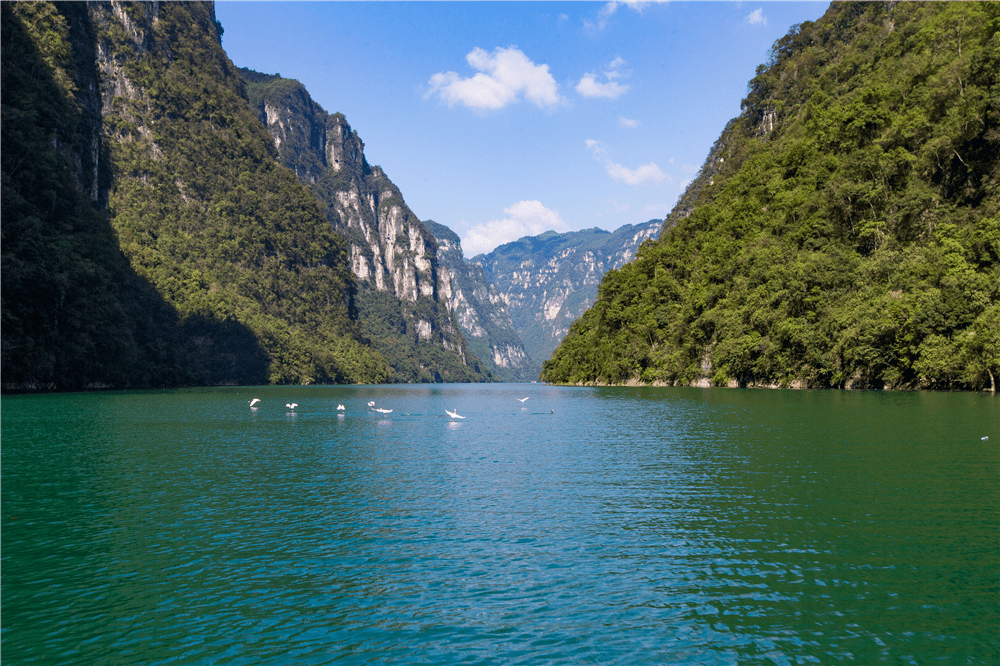 诗和远方就在眼前武隆芙蓉江景区7月29日重新开放邀你清凉一夏