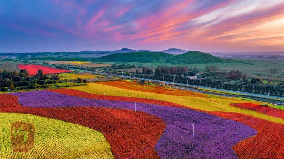 乐夏莲花山长春首届莲花山世茂花海音乐节7月25日燃情启幕