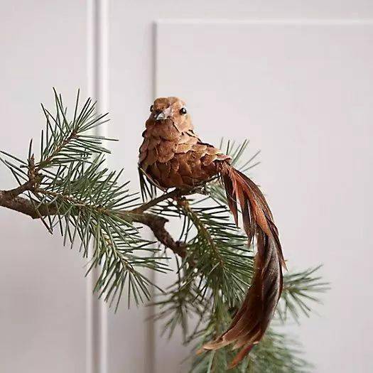 松塔手工松塔的100多种玩法手工环创吊饰植物角都有真是捡回来个宝啊