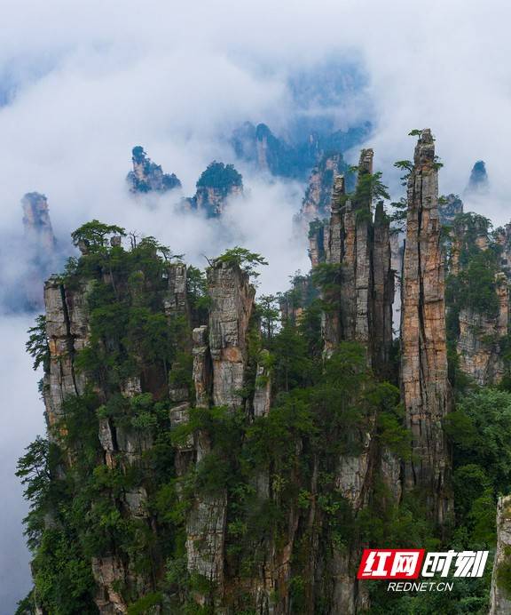 天子山 谁人识得天子面归来不看天下山 云雾