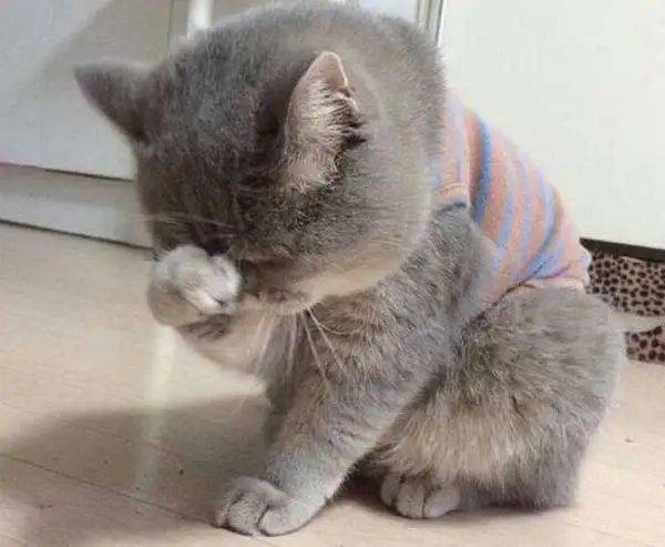 【白云·开心一刻】警告一下!洗面奶千万不要这样用