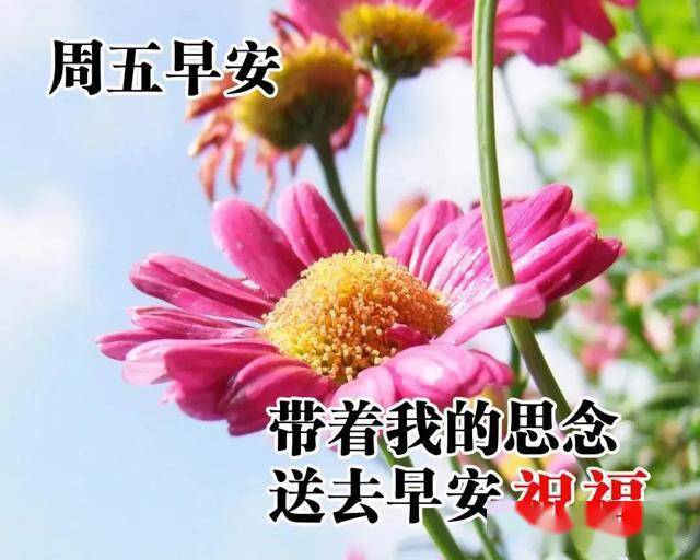 一笑且把苦闷了,水迢迢,看岭上云长云消,早安