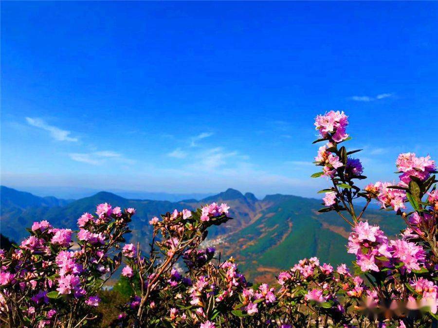 盘州旅游避暑盘州红果新城不负遇见