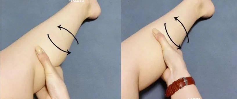 坐姿提踵可以训练到小腿后侧的比目鱼肌,视觉上让小腿更修长!