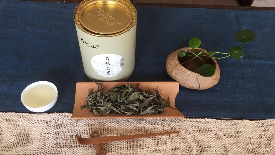 福清煎茶一味禅意茶韵留香丨福建特色小品种茶优秀征文