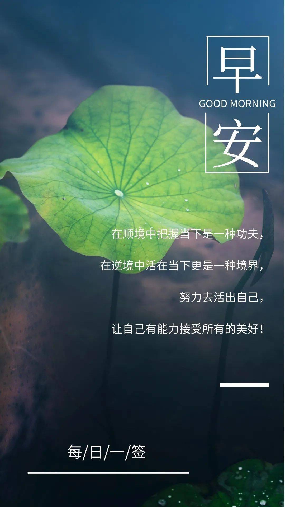 每日一句正能量人生感悟