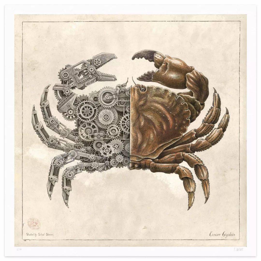 艺术家笔下的机械时代甲壳动物