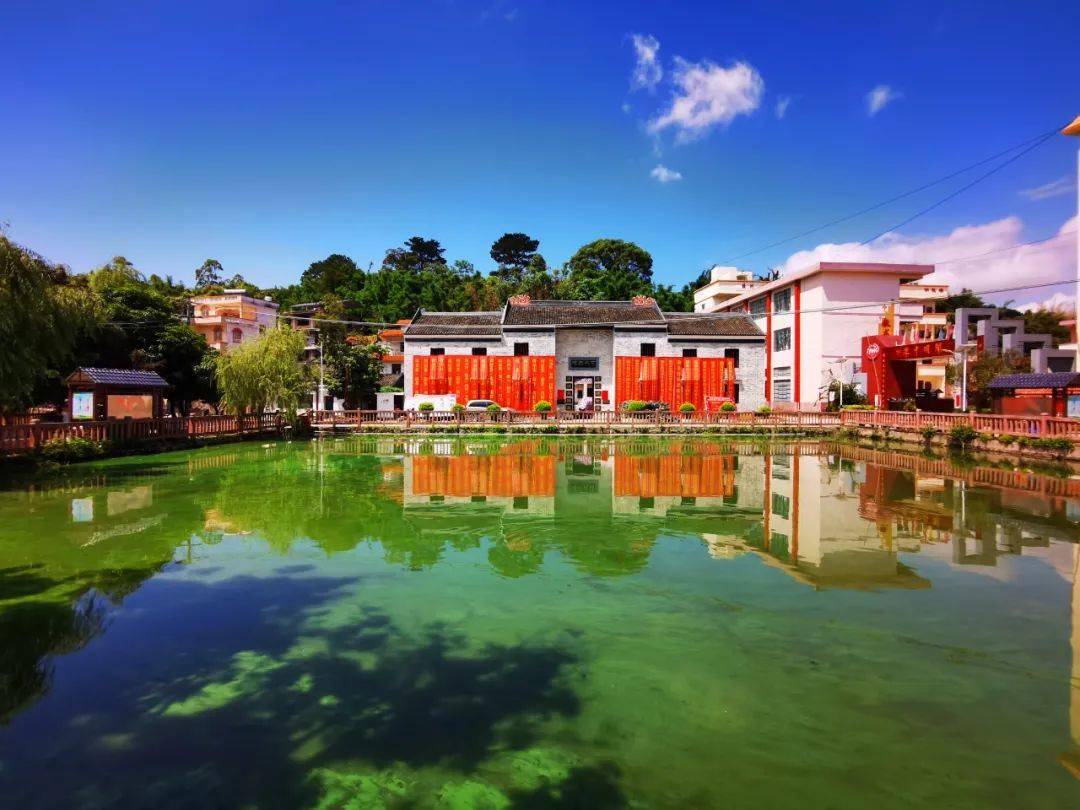 醉美荷花,绽放出时任藤县县长与明代督师相隔312年的时空对话!