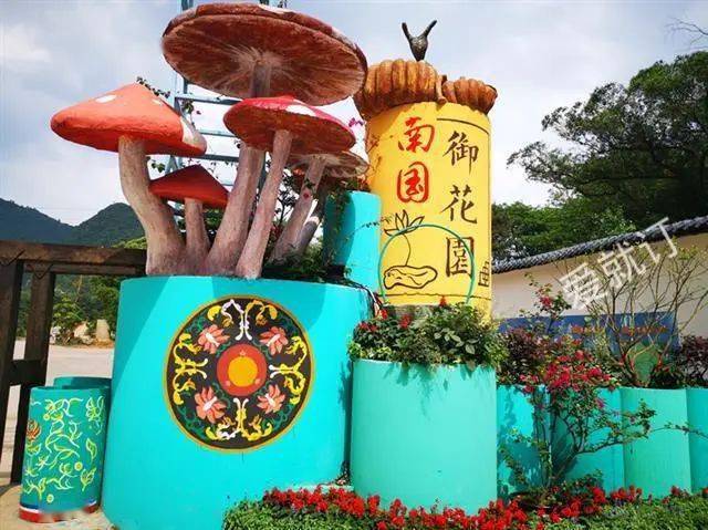 打卡网红圣地南国御花园体验火龙果采摘亲子玩水农耕文化品尝1小时