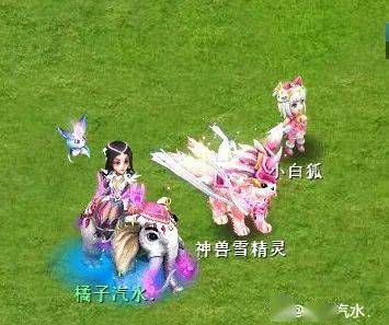 神兽界的颜值担当可盐可甜的神兽雪精灵爱了爱了