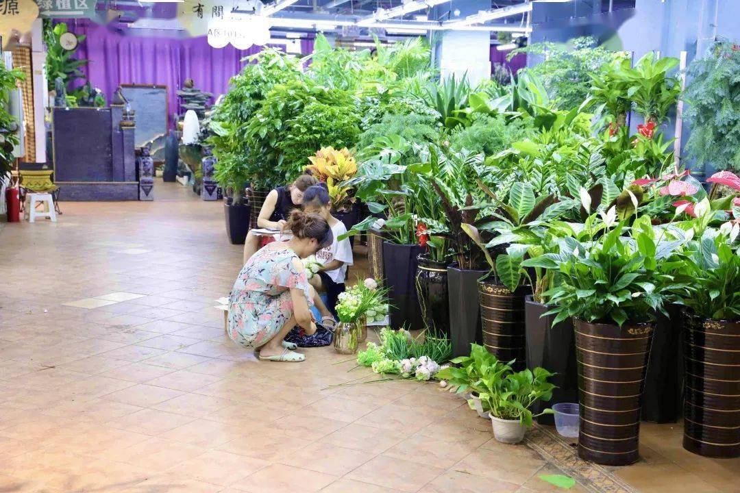 爱花,让买花人与卖花人在青怡坊有了交集,留下了故事.