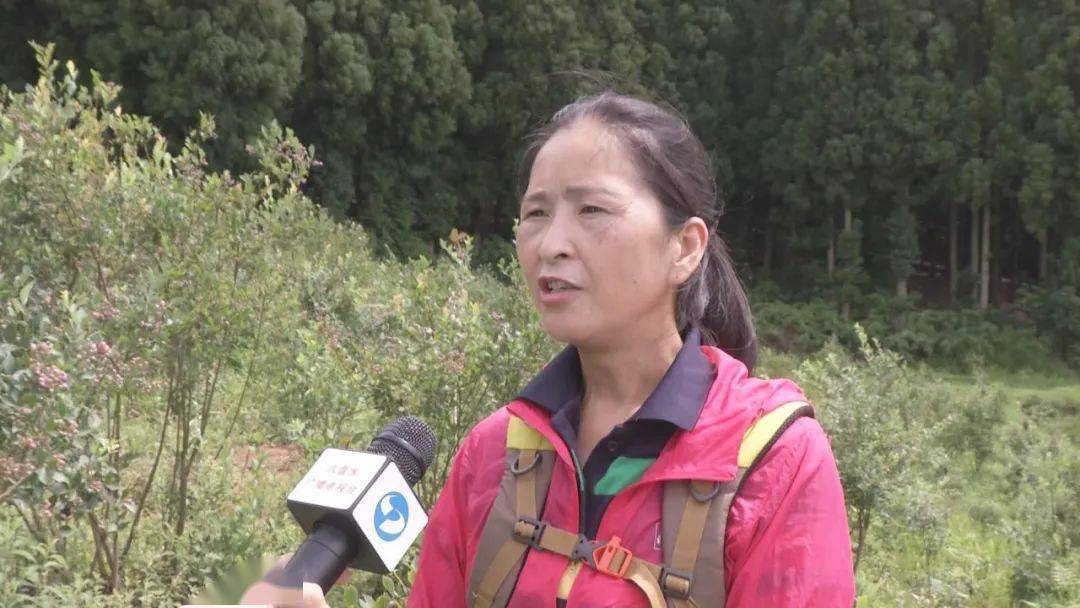 水城县玉舍镇前进村:发展蓝莓产业,打造乡村旅游小康村