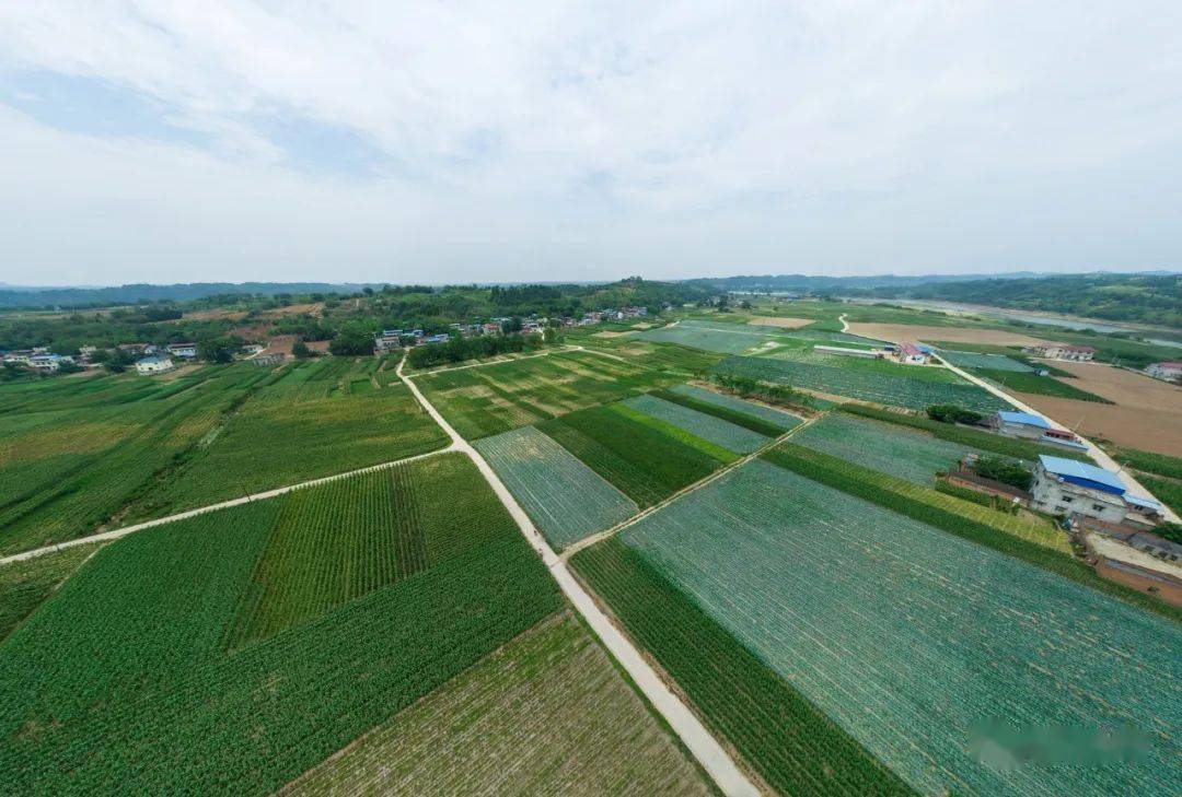 筑牢产业支撑激发发展活力推动乡村振兴詹庆到杨家镇新市街道调研经济