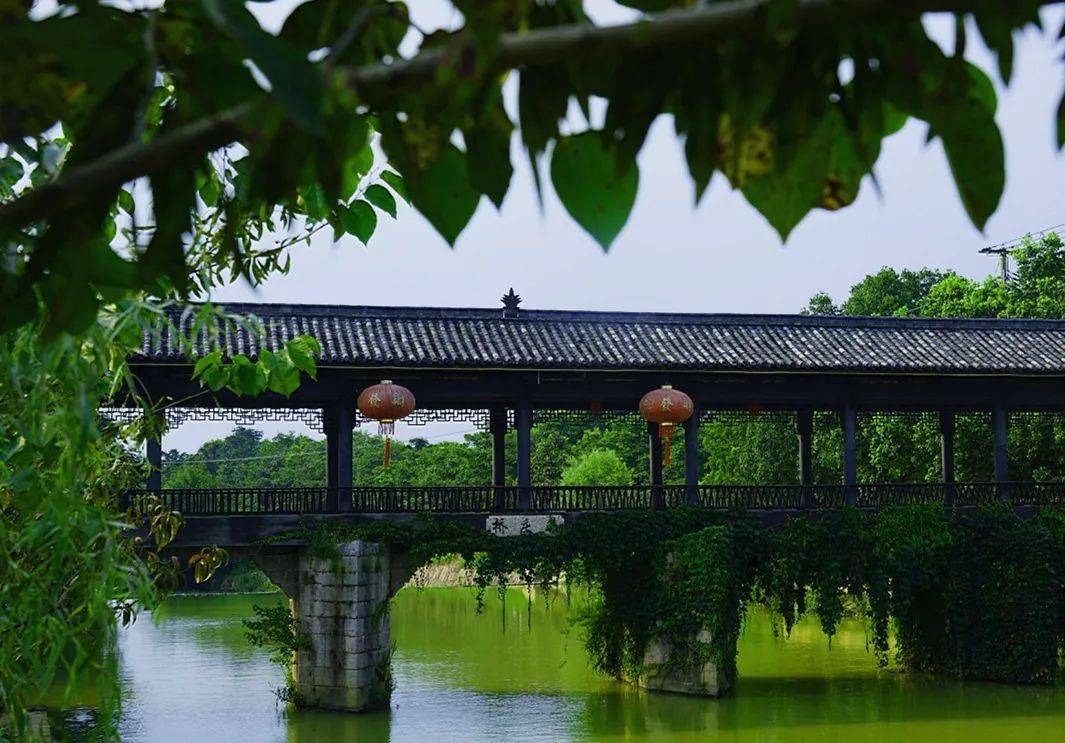 澧浦集庆桥儿时踏过的青石板往事如烟山水间