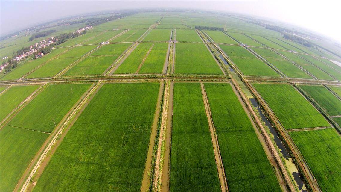 一把钥匙如何打开三把锁新疆沙雅县农业高效节水增收试点项目调查