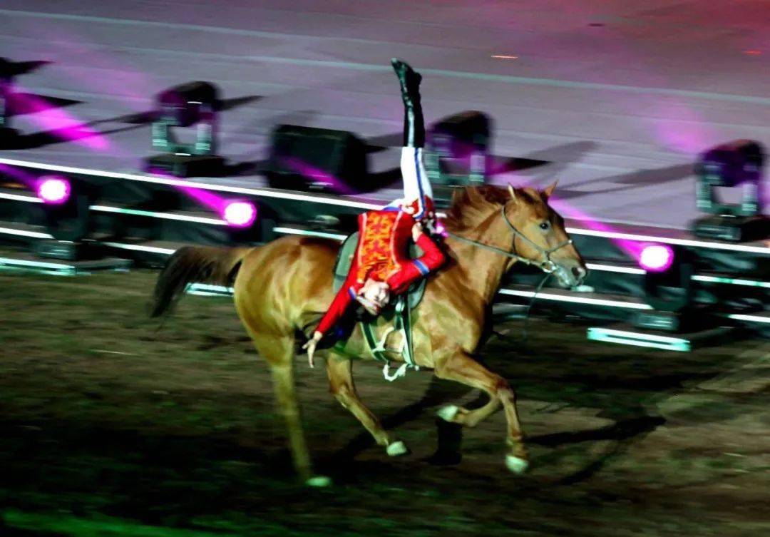 安排!内蒙古10条马主题旅游线路出炉