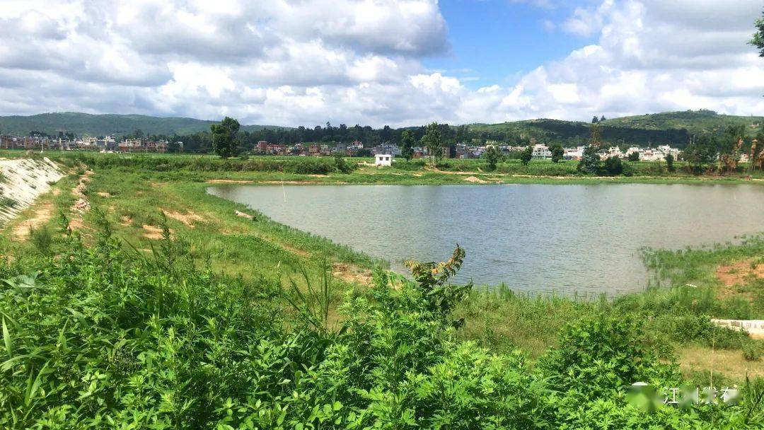 江川区水库坝塘蓄水低于往年