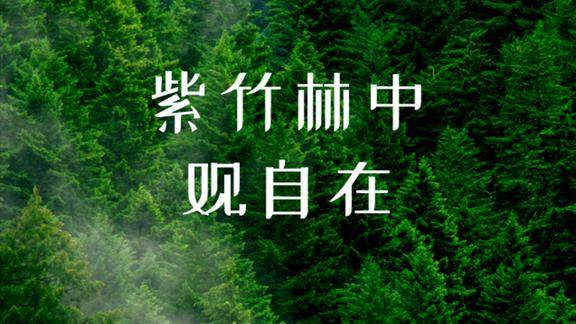 【每日佛音】美好的一天 童心唱佛给你听《紫竹林中观自在》