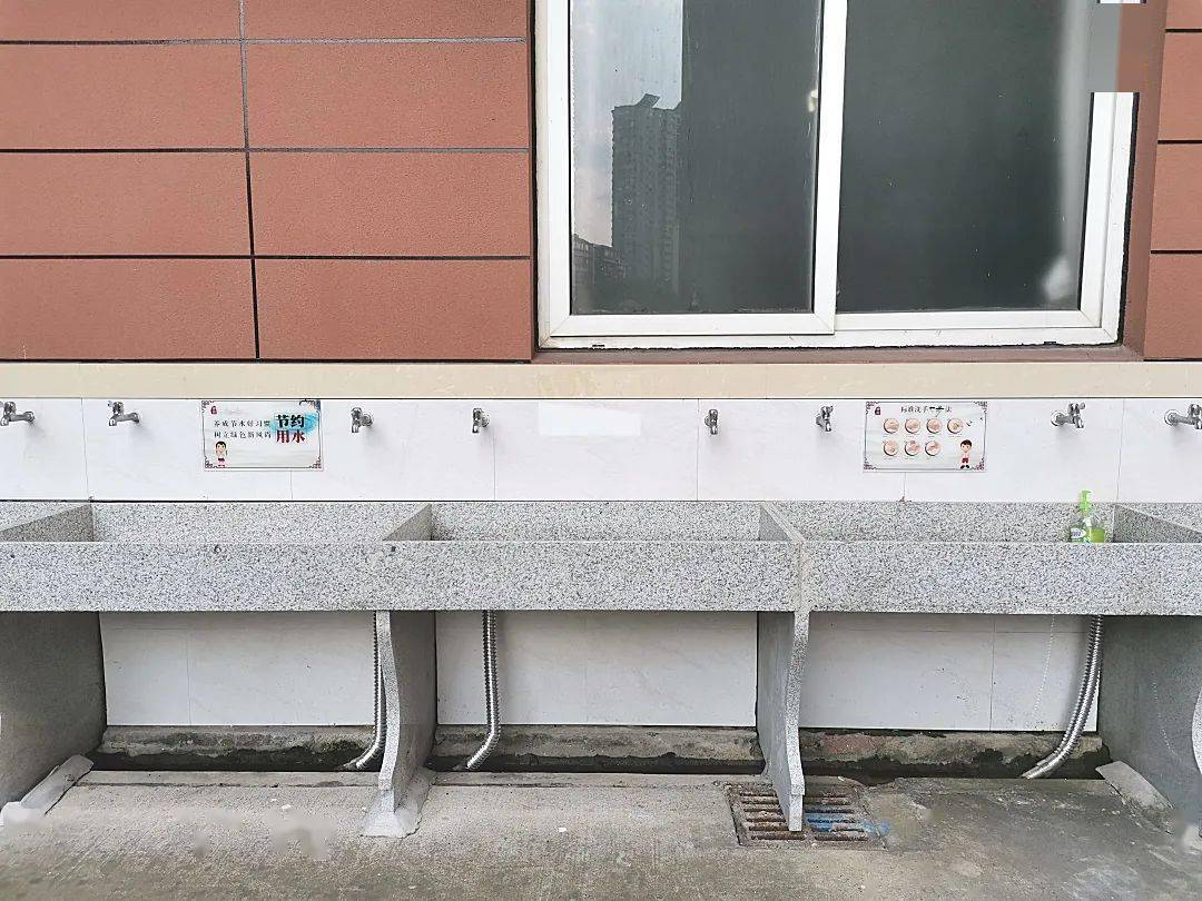 珍惜淡水资源,共营生命绿色