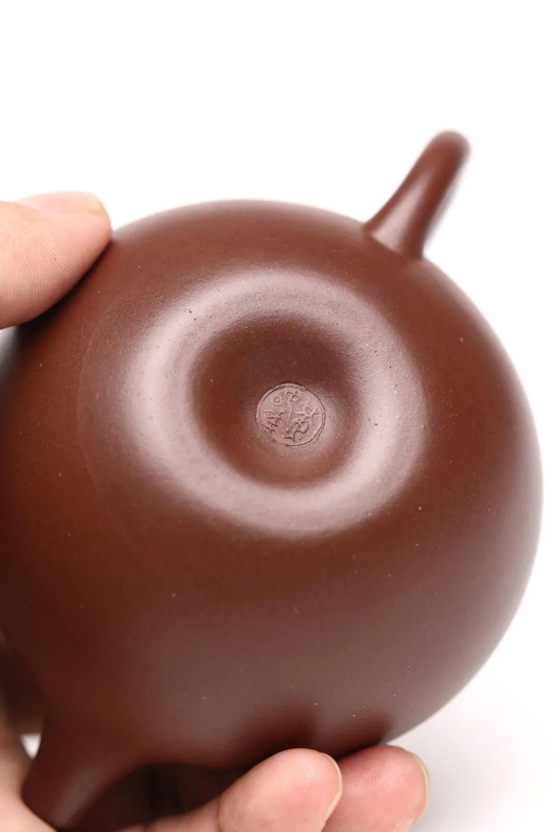 黄春华《东石莲子》_紫砂