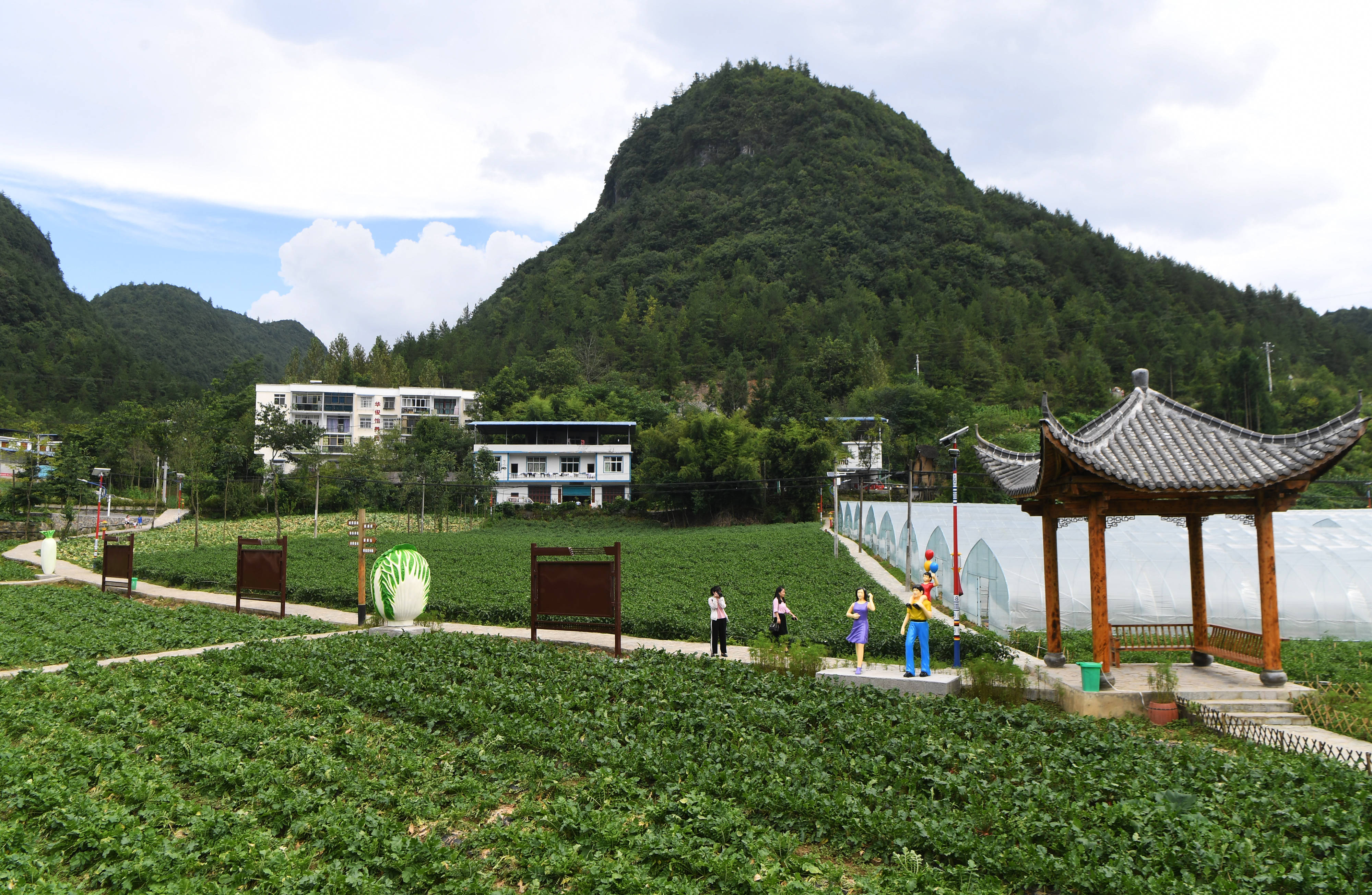 重庆奉节"美丽经济"助力乡村振兴