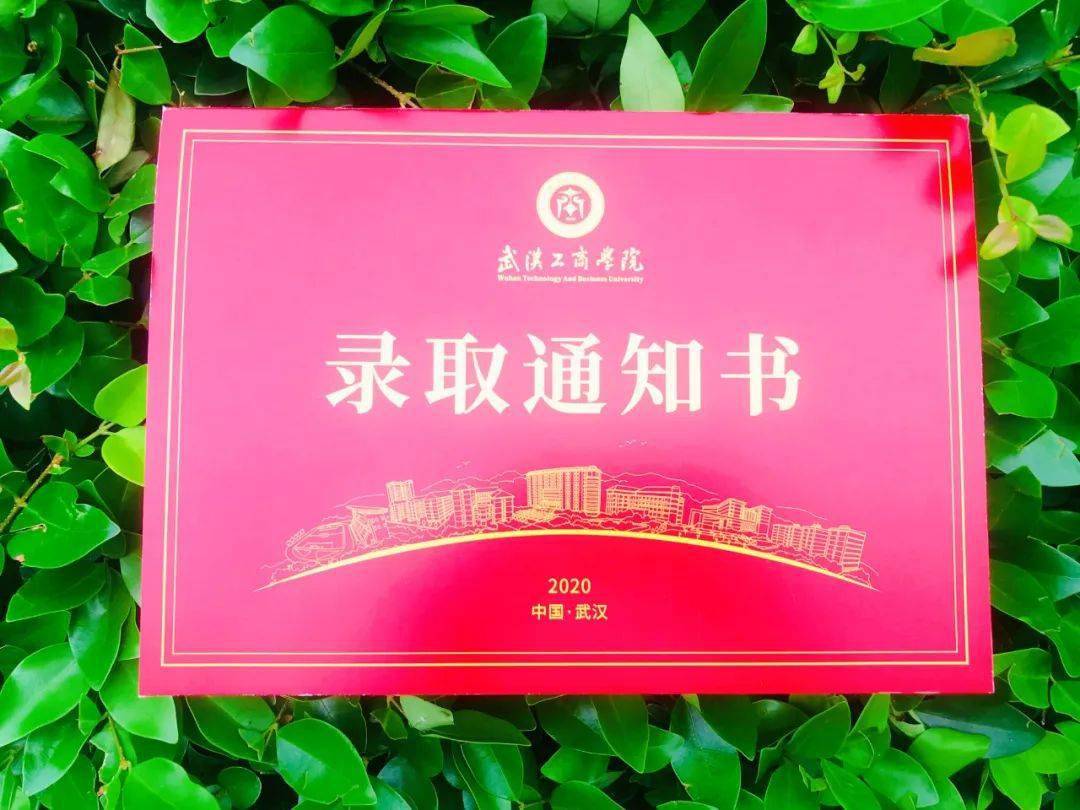 武汉"挺"好 | 武汉工商学院青春纪念版录取通知书问世!