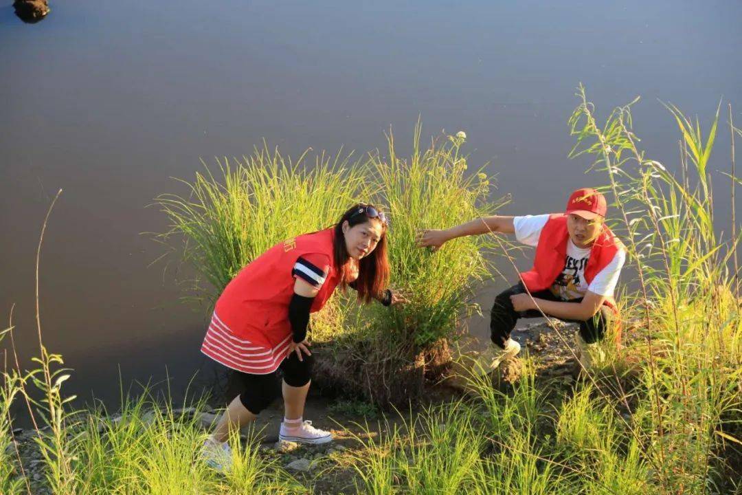 "抖"出生态自信范儿——"龙东湿地行"系列体验式报道之四·抚远