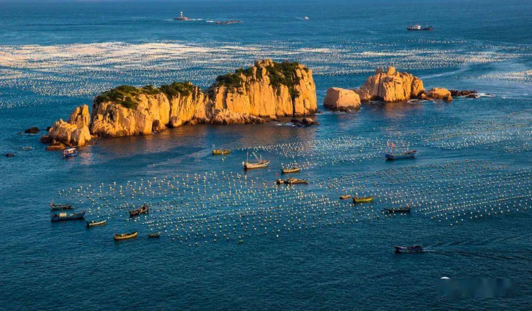 跨越时空的对话 | 走进枸杞乡