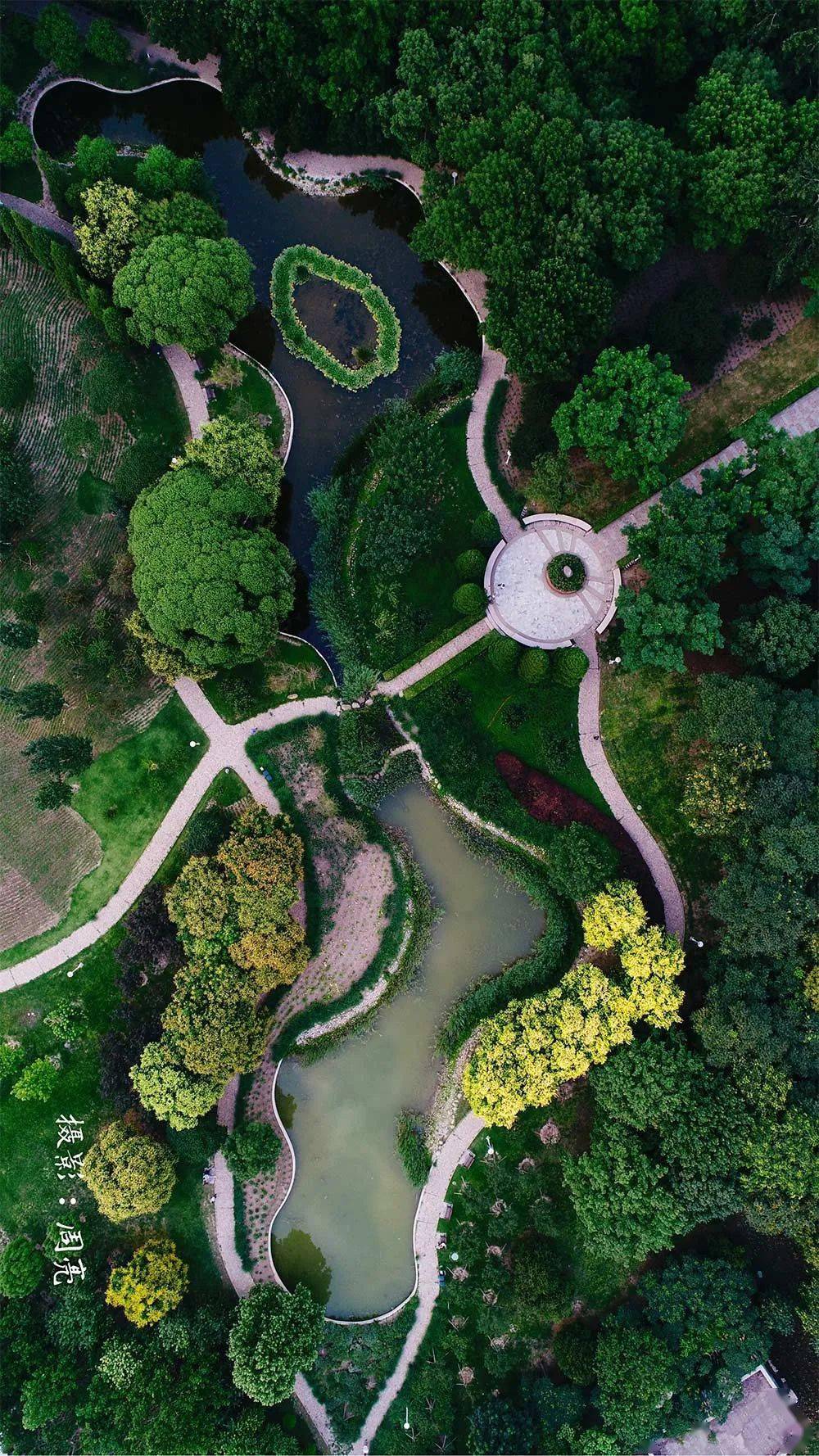 瞰泰达│泰丰公园泰达人无法谦虚的骄傲