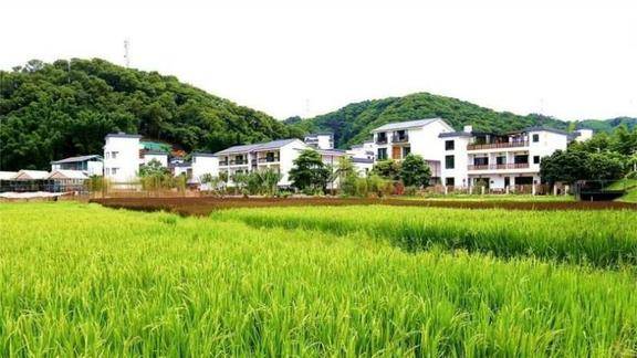 疫情之下的湖北农村啥样子黄冈山区农民大胆写出了心里话