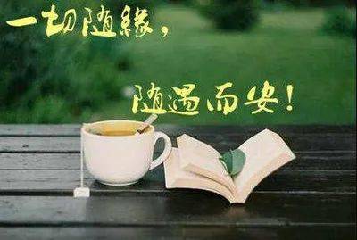 有一种心境叫随遇而安