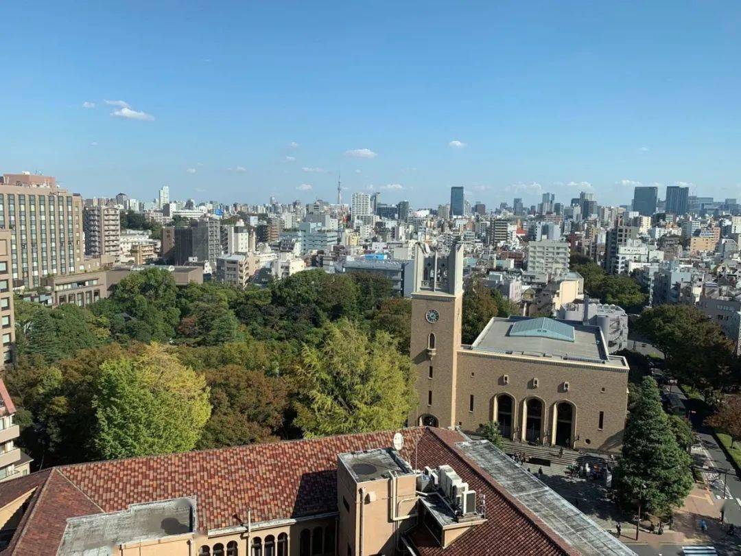 北京大学国际关系学院2016级本科生20182019年北大早大双学位毕业生