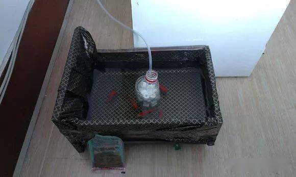 高能各种脑洞大开的养鱼神器让人目不暇接