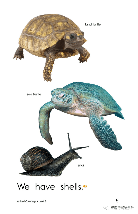 绘本故事animalcoverings