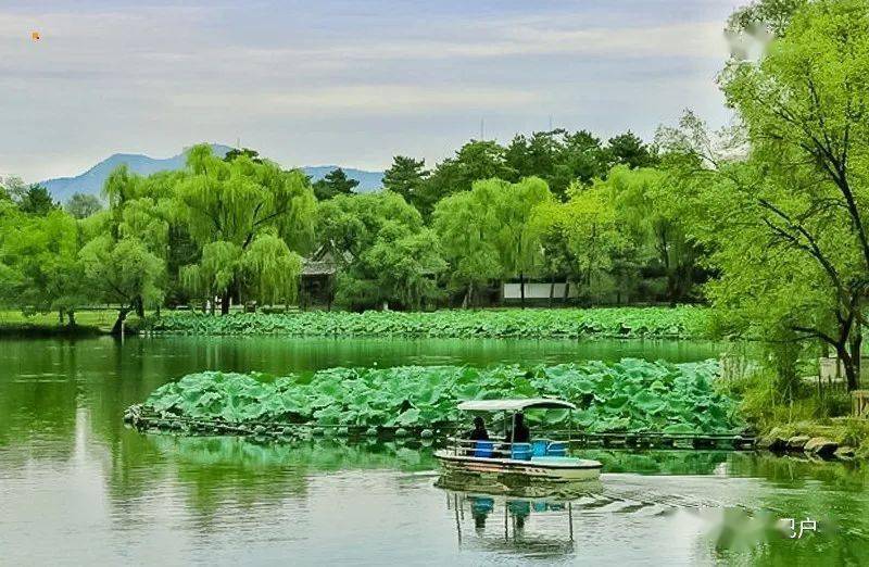 週末2日|避暑山莊|夏天避暑-承德經典行の承德避暑山莊-普寧寺-小布拉