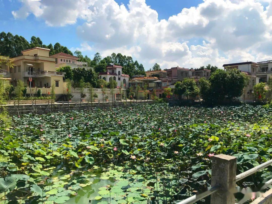 "——桃源镇竹蓢村