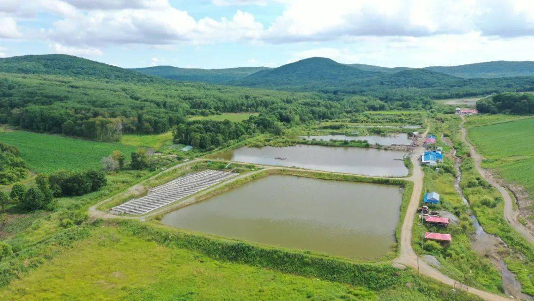 八五九:特色养殖 发家"蛭"富_八五九农场